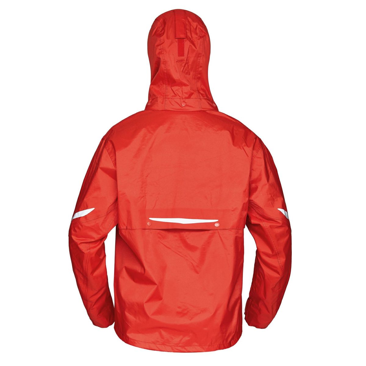 詳細：レッド背面