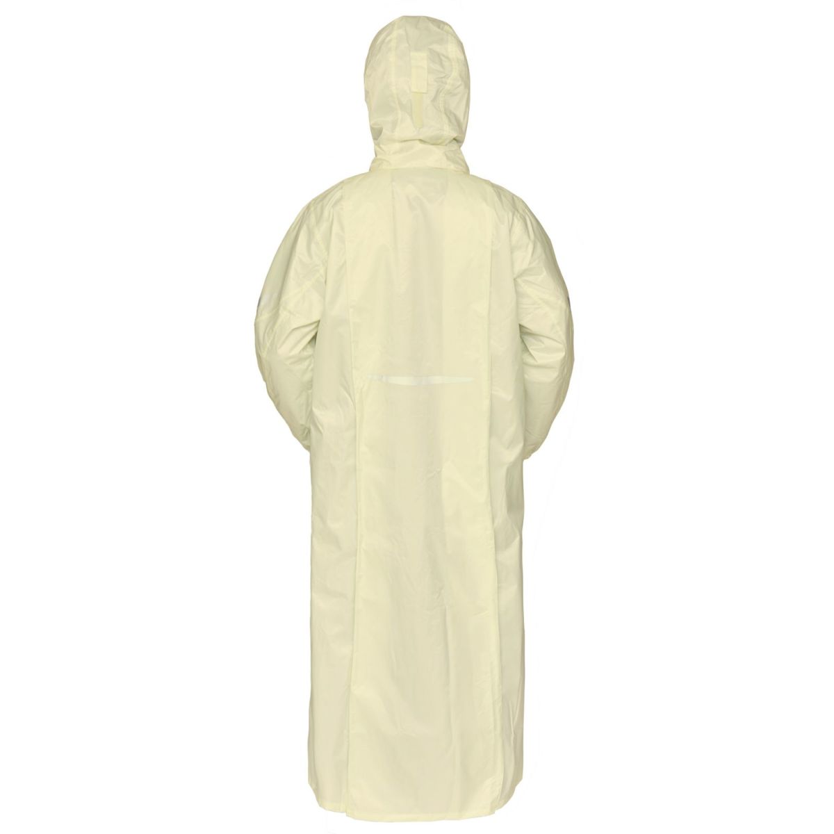 アイボリー 背面