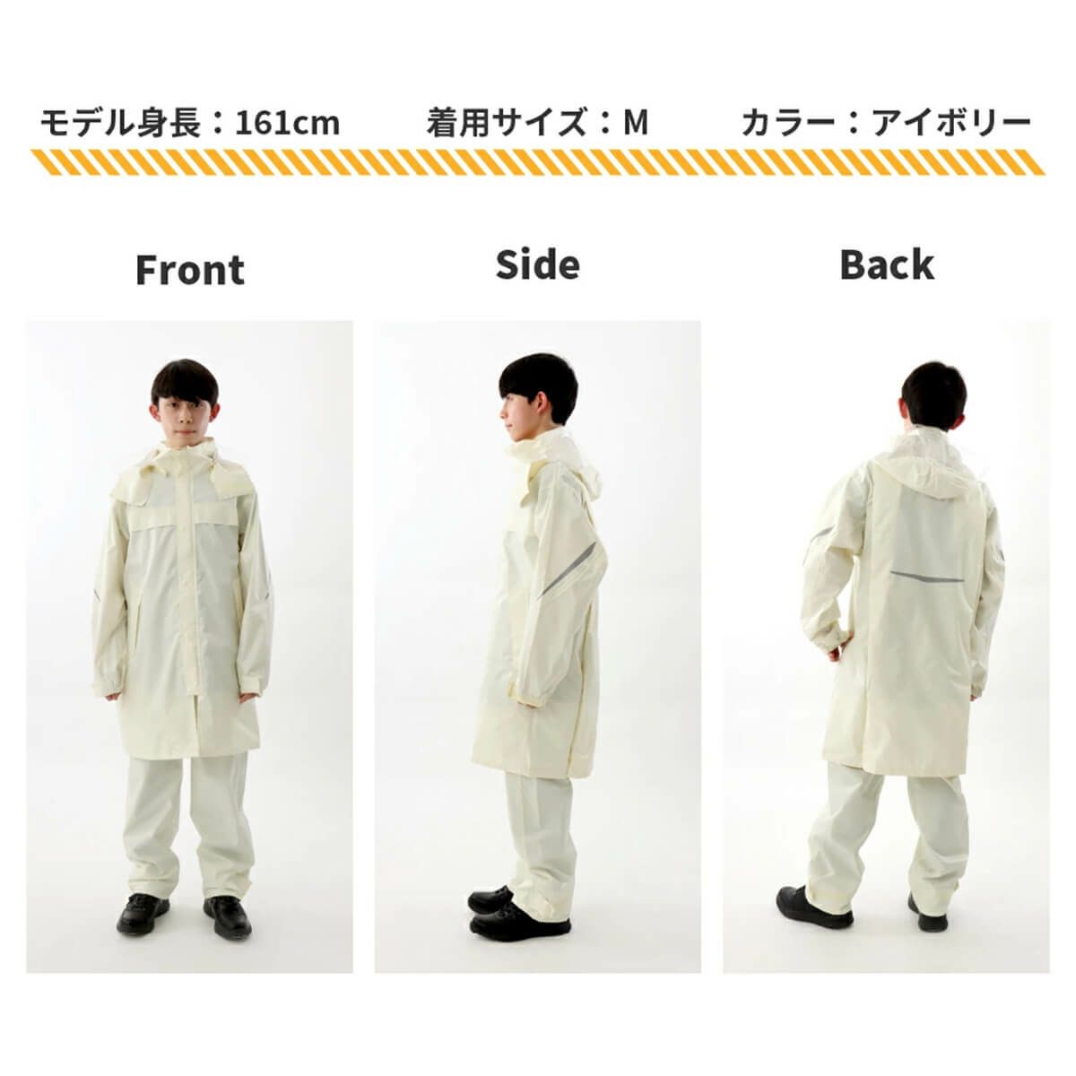 アイボリー サイズ感