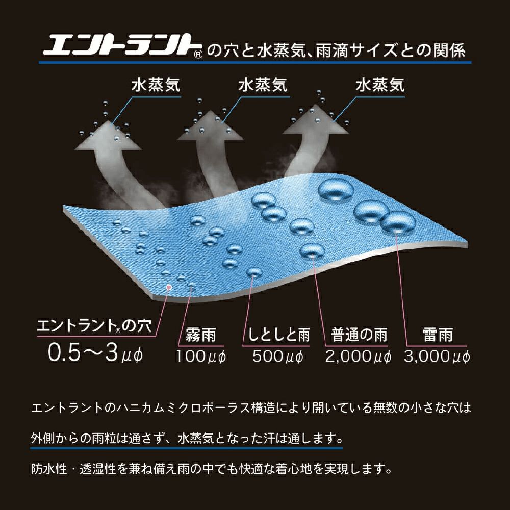 エントラントの穴